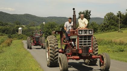 Stavby v divočině II (8)