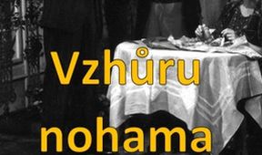 Vzhůru nohama