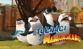 Tučňáci z Madagaskaru (15/26)