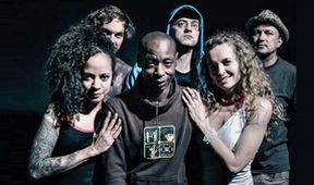 N.o.h.a