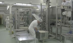 Industrie - Reformy na běžícím pásu (9/12)