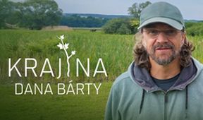 Krajina Dana Bárty (6/6)