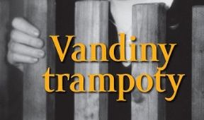 Vandiny trampoty