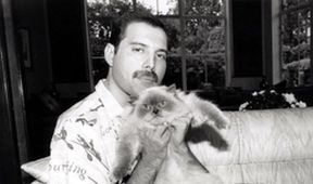 Freddie Mercury: Příběh, Je nám ctí...