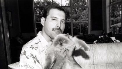 Freddie Mercury: Příběh, Je nám ctí...