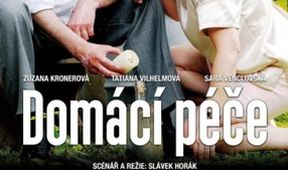 Domácí péče