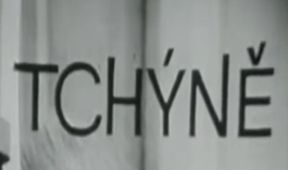 Tchyně