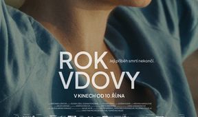Rok vdovy