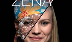 Žena, Kino Art