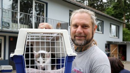 Harte Hunde - Ralf Seeger greift ein