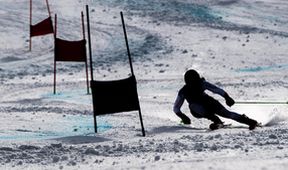 Evropský týden lyžování ve Špindlu 2025, Alpské lyžování
