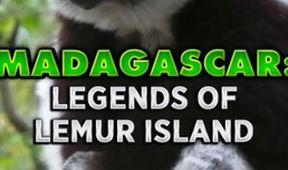 Madagaskar: Legendy o lemuřím ostrově