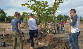 Metamorfózy: Návrat divočiny (1)