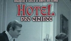 Hotel pro cizince