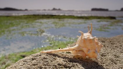 Královny starověkého Egypta, Mýty a fakta historie