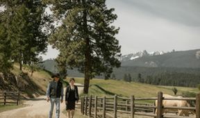 Yellowstone (1/9)
