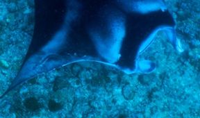Maledivy - vodní království indického oceánu (2)
