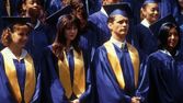 Beverly Hills 90210 VIII (22/32)