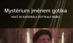 Mystérium jménem gotika: Když se katedrály dotýkaly nebes