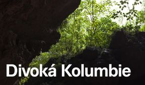 Divoká Kolumbie (2)