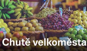 Chutě velkoměsta II (3)