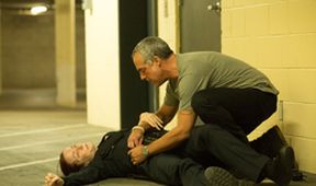 Bosch V (10/10)