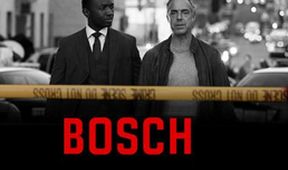 Bosch V (9/10)