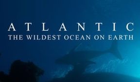 Atlantik - nejdivočejší oceán na planetě (2)
