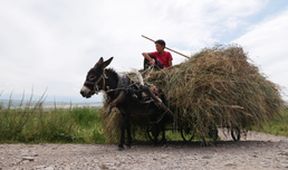 Na cestě po kyrgyzském Issyk-kulu