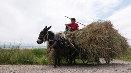 Na cestě po kyrgyzském Issyk-kulu