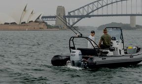 Invaze žraloků v Sydney