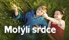 Motýlí srdce