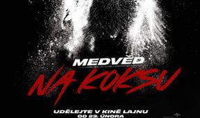 Medvěd na koksu
