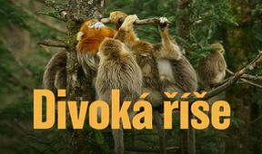 Divoká říše (1/3)