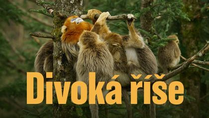 Divoká říše (3/3)