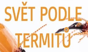 Svět podle termitů