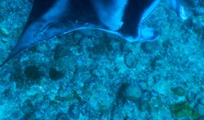 Maledivy - vodní království indického oceánu (2)