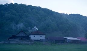 Divoké světy