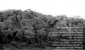 Africa obscura
