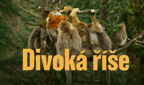 Divoká říše (3/3)