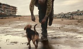 Dogman