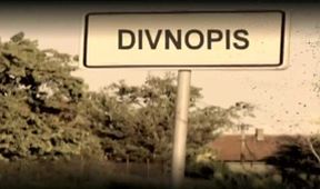 Divnopis