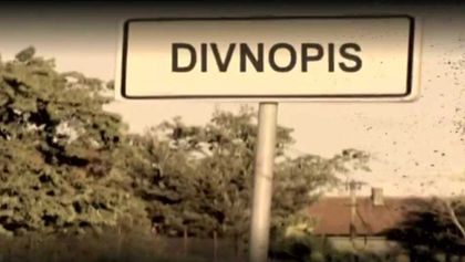 Divnopis