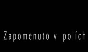 Zapomenuto v polích