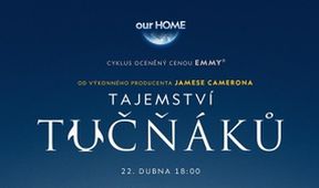 Tajemství tučňáků (1)