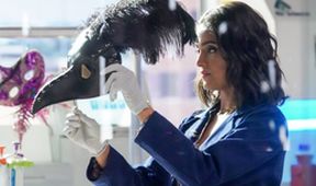 CSI: Vegas