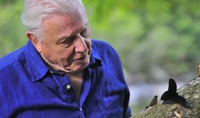 Ohromující svět Davida Attenborougha (4)