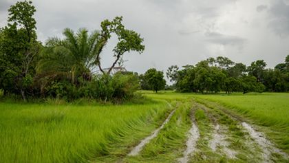 Projekt jaguár (3)