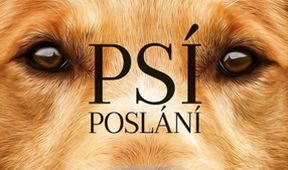 Psí poslání