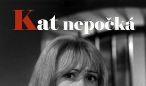 Kat nepočká